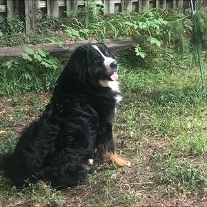 Meet your Posher, Craig